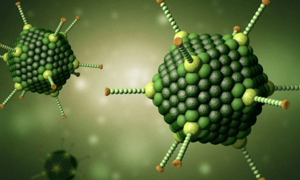 1 loại virus đang tăng nhanh, bể bơi công cộng nguy cơ lây nhiễm: Bác sĩ cảnh báo dấu hiệu trẻ mắc bệnh, phụ huynh đừng chủ quan