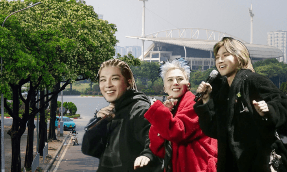 BIGBANG đụng độ hoa sữa Hà Nội 