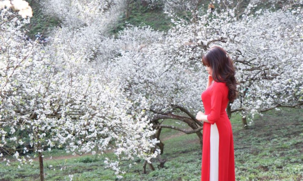 Tin gió mùa đông bắc mới nhất: Miền Bắc rét đậm ngày cận Tết, nhiều nơi xuống dưới 10 độ C