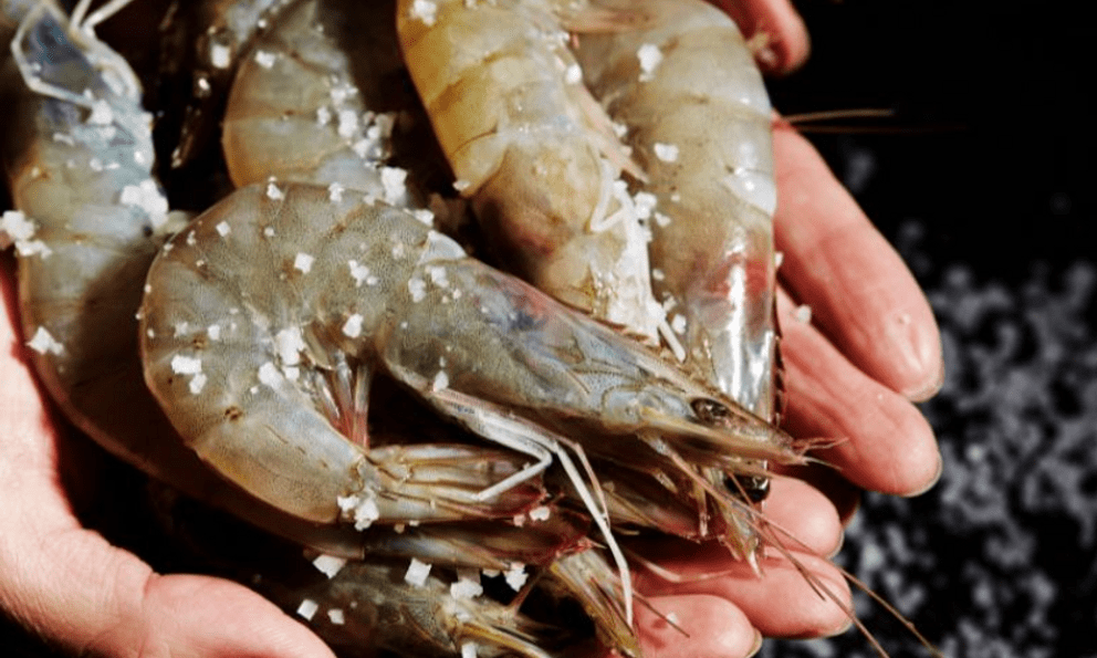 Cất tôm trong tủ lạnh nhớ cho thêm 1 thìa này lên trên, để cả tuần vẫn ngon ngọt, không bị thâm đen