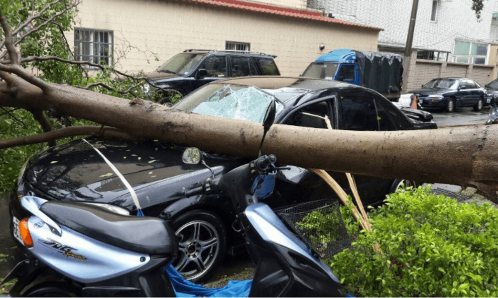 Người đàn ông mua bảo hiểm được 5 năm, đến khi xe ô tô bị cây đè bẹp lại không được bồi thường 100% thiệt hại, luật sư khẳng định: “Công ty bảo hiểm làm vậy là đúng