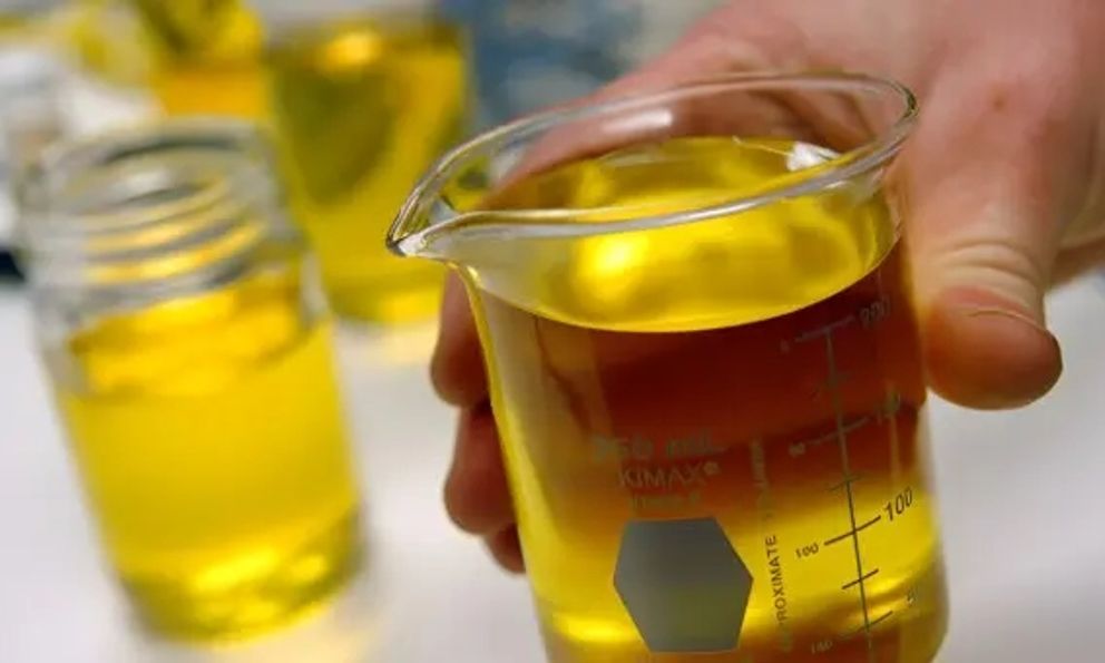 Dù tiết kiệm đến mấy, nếu có 7 thứ này trong nhà bạn phải vứt bỏ ngay lập tức