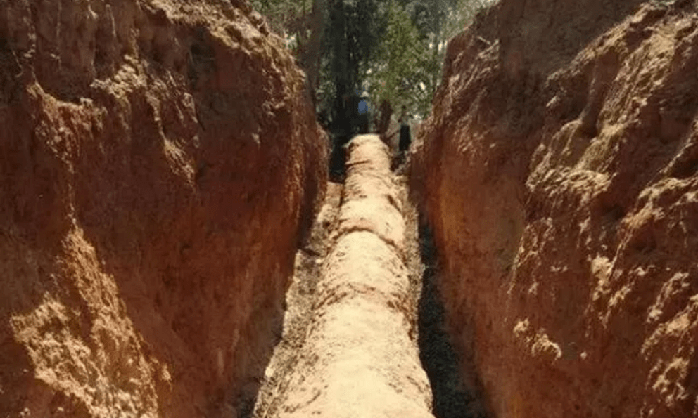 Công trường dừng thi công khẩn cấp vì phát hiện cây gỗ dài 30,5m, “cứng như đá” : Chuyên gia khẳng định 