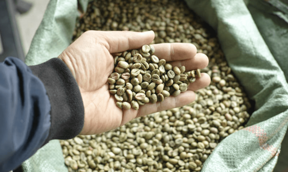 Việt Nam có 1 loại hạt “trường thọ”, bổ từ tim đến não: Xuất khẩu 309,5 nghìn tấn trong 2 tháng đầu năm, Nhật Bản trả giá đắt gấp đôi để thu mua