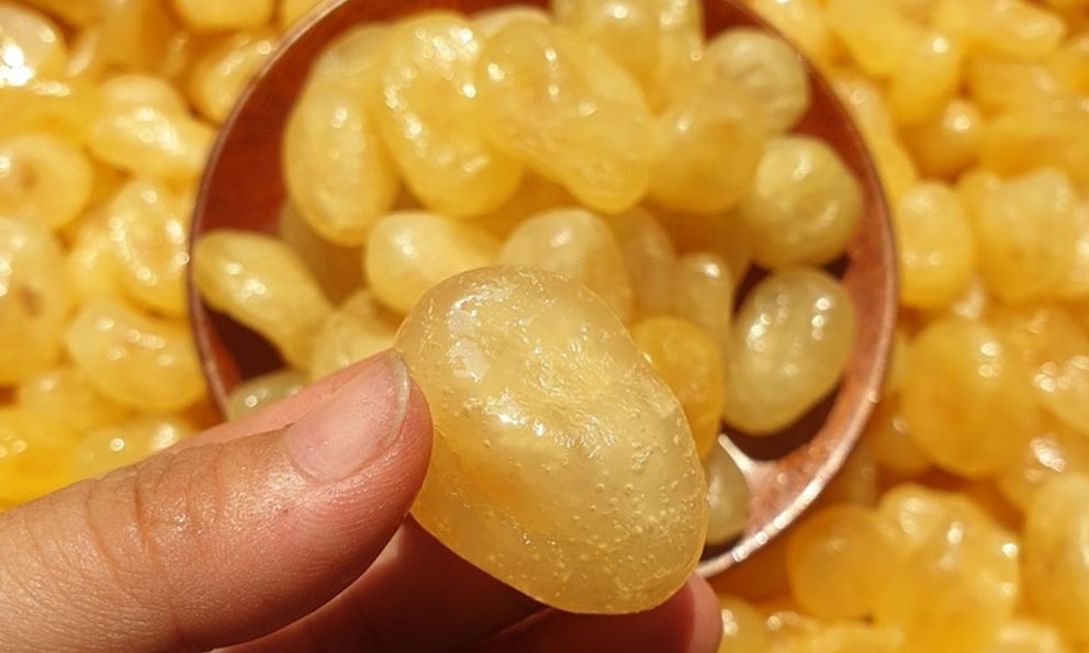 Việt Nam có 1 loại quả chua chát giúp chống rụng tóc, kích thích mọc tóc con, dùng đúng cách còn trị được nhiều loại bệnh