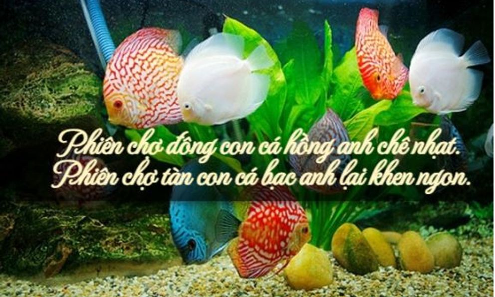 Vì sao trend thơ ngắn 