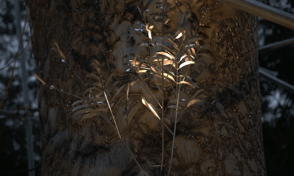 Nữ nghệ sĩ thổi hồn vào thân cây đổ, 