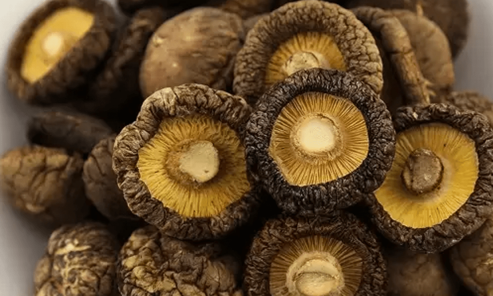 Gặp 5 loại rau này ở chợ nên mua ngay, điểm chung là vị đắng nhưng bổ dưỡng hơn nhân sâm, giúp kéo dài tuổi thọ