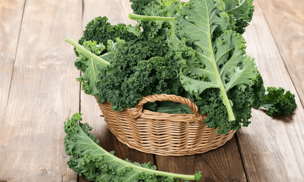 Đi chợ phải lưu ý 4 loại rau này vì có thể “ngậm” nhiều thuốc trừ sâu, toàn rau quen thuộc nhiều người ăn mỗi ngày