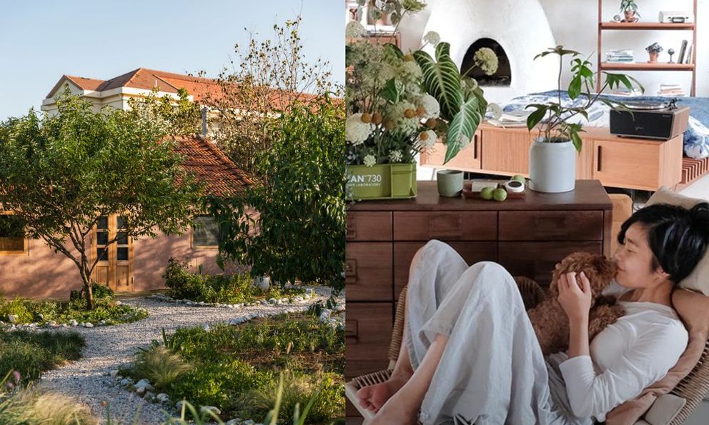 Người phụ nữ thuê 18.000 m2 đất để nghỉ hưu trên một hòn đảo, chi 180 triệu đồng/năm “mua” bình yên