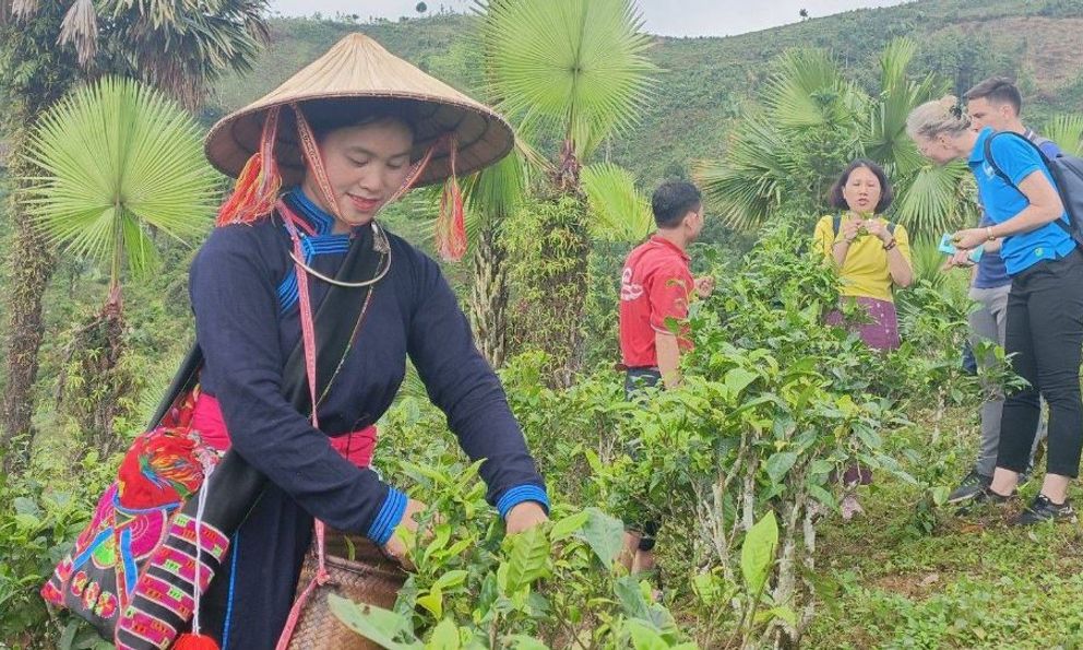 Người phụ nữ Tày 6 năm giữ ruộng làm du lịch bỗng nổi tiếng nhờ show thực tế liên tục lọt top trending, nhận bằng khen của tỉnh Lào Cai