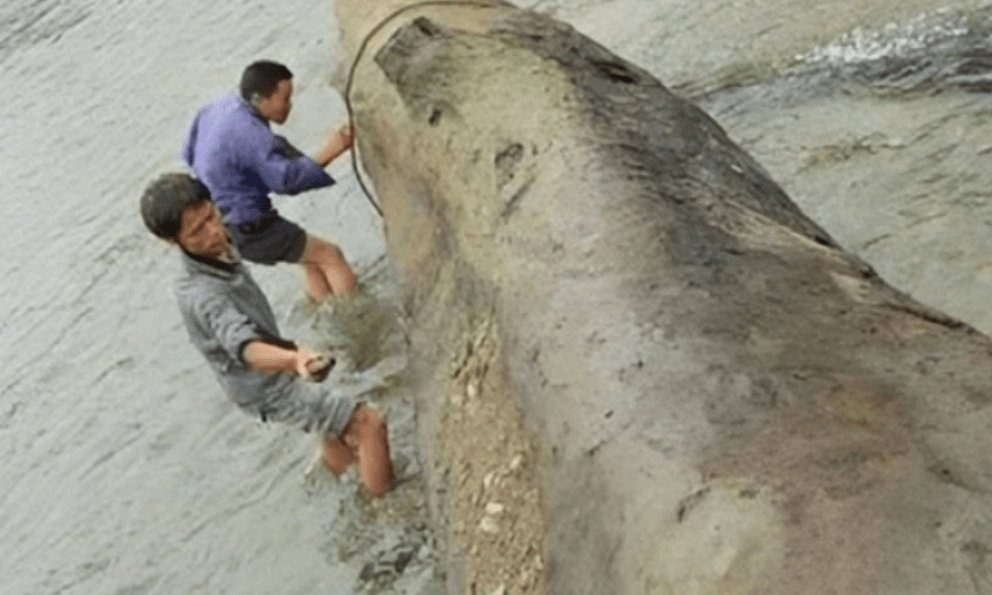 Sông sâu chảy xiết bỗng cạn khô cả đáy, bảo vật nghìn năm được phát hiện khiến cả làng hân hoan