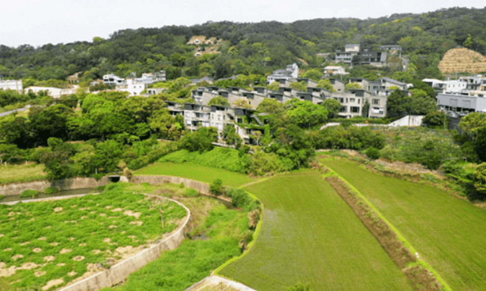 4 cặp vợ chồng rủ nhau về quê, xây nhà ở chung tuổi già, chưa được 6 tháng đã cãi nhau: 