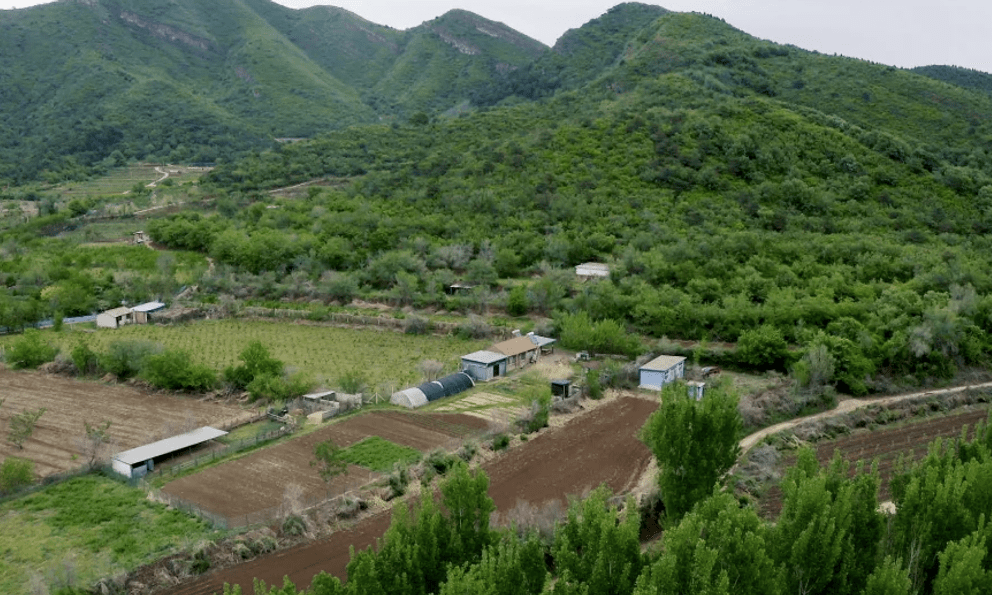 Cặp đôi U50 bỏ phố lên núi, thuê 20.000m² đất hoang để nghỉ hưu, sống “tự cung tự cấp”: “Vất vả chứ không lãng mạn như trên phim”