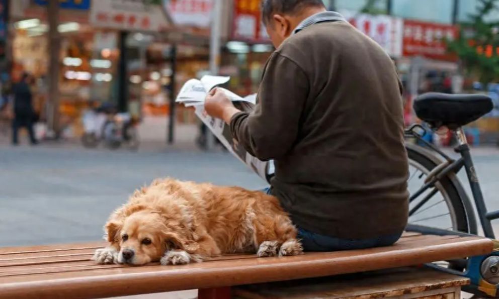 63 tuổi, nghỉ hưu, tôi làm 4 việc 