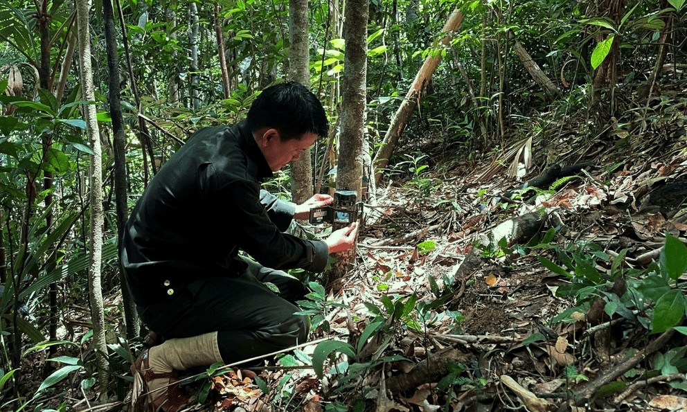 Nghe tiếng động lạ, người dân Thanh Hóa phát hiện loài vật quý hiếm sắp tuyệt chủng: Tưởng vô hại nhưng cực nguy hiểm, quyết định báo cảnh sát ngay