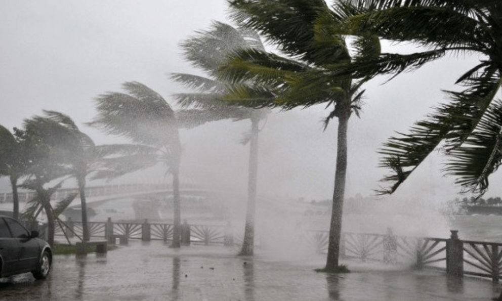 Người dân khu vực này cực kỳ lưu ý: Chỉ ít giờ tới, gió mạnh và mưa dông rất lớn