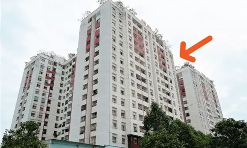 Kiến trúc sư 20 năm kinh nghiệm tiết lộ: Chọn tầng nào cũng được, nhưng đây mới là 'căn hộ vàng' để an cư