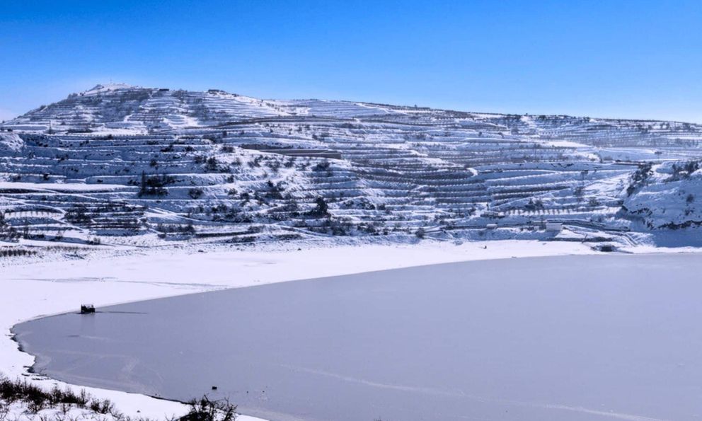 Phát hiện trữ lượng khoáng sản lớn, gần như “không cạn kiệt” trong 1 khu rừng rậm, đủ cung cấp năng lượng cho hàng triệu xe điện