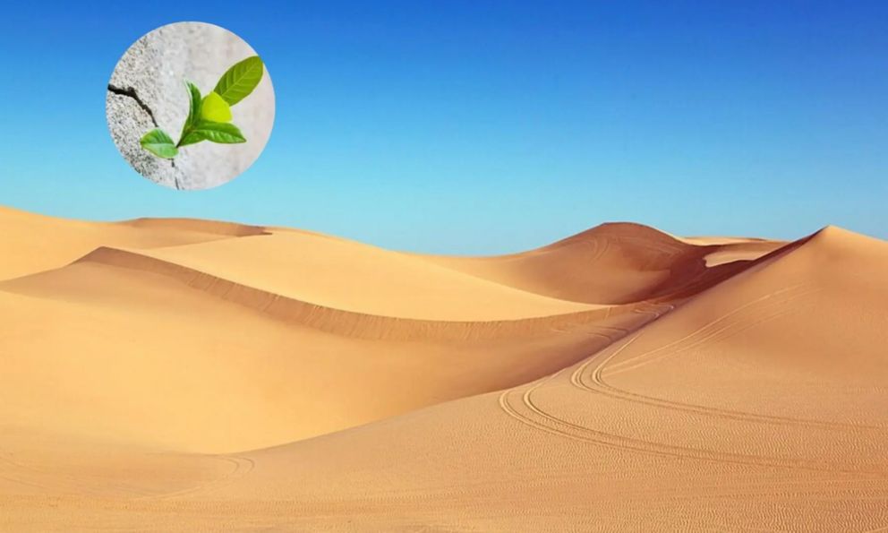 Phát minh làm rung chuyển ngành xây dựng: Tạo ra bê tông từ thứ tưởng không thể dùng, bước ngoặt cho vật liệu phổ biến thứ 2 thế giới