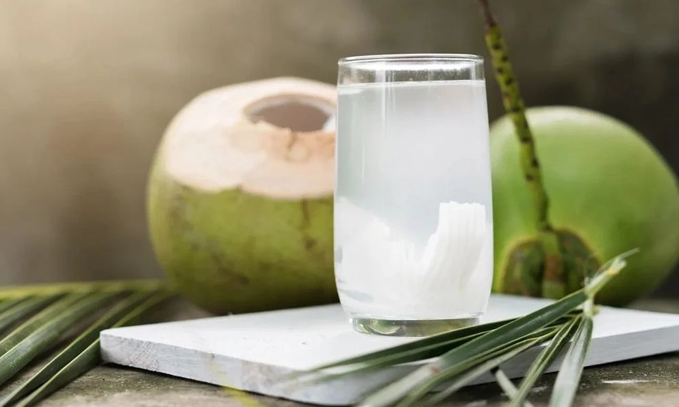 Nước dừa có thể uống thay thế nước lọc không? Sự thật không phải ai cũng biết