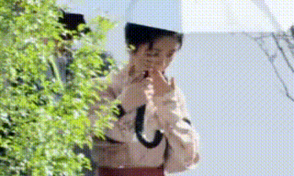 Phim cổ trang chưa chiếu đã gây sốt MXH vì “đẹp không tưởng”, nữ chính đúng chuẩn xé truyện bước ra