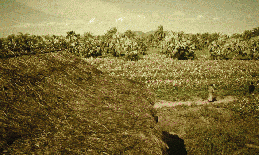 Phim vừa chiếu 2 phút đã đạt top 1 rating cả nước, nam chính là thiên tài diễn xuất không có đỉnh nhất chỉ có đỉnh hơn