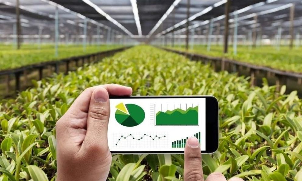 Trung Quốc khiến thế giới ngỡ ngàng khi bê robot, AI đi… trồng rau giữa sa mạc, khẳng định trình độ công nghệ nông nghiệp vươn đến top đầu toàn cầu