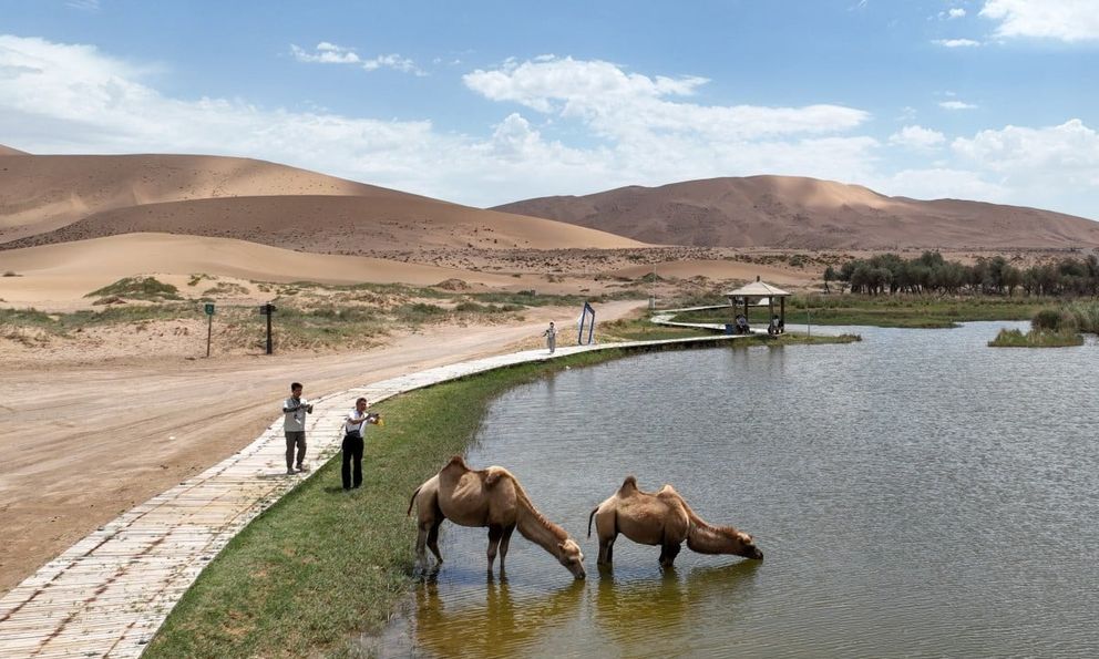 Không phục cảnh 