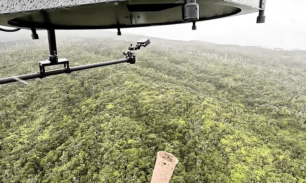 Từ trên trời rơi xuống, hàng chục nghìn cá thể sinh vật “tai tiếng” được thả về rừng: Người Mỹ đang toan tính điều gì?