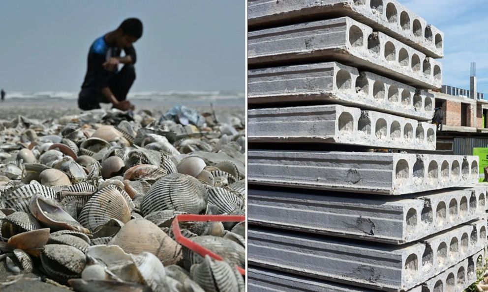 Phát minh có thể làm rung chuyển ngành xây dựng: Dùng thứ bị bỏ đi ở khắp các bờ biển để trộn thêm, giúp bê tông cứng hơn 20%, giảm phát thải CO2 đến 36%