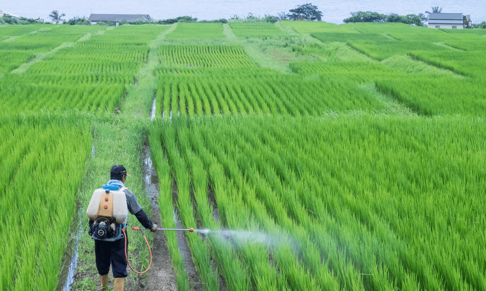 Phát minh của Trung Quốc xoay chuyển ngành phân bón: Ép chất thải độc hại thành nguyên liệu cho nông nghiệp, hiệu suất cao gấp 3 lần bình thường